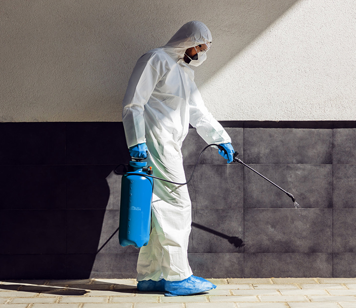 專業(yè)除蟲(chóng)消毒公司