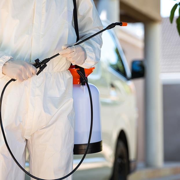 蟑螂消殺公司哪家強？綠巨人守護你的健康生活