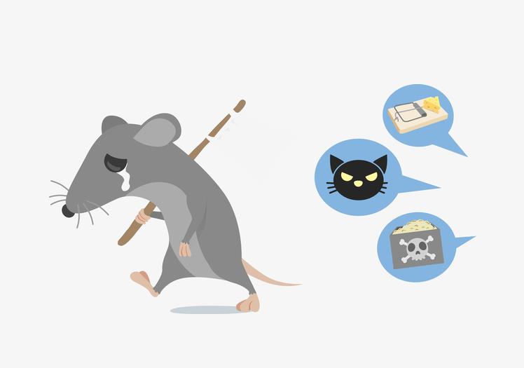 春季朝陽區(qū)滅鼠常用什么藥？有哪些注意事項？