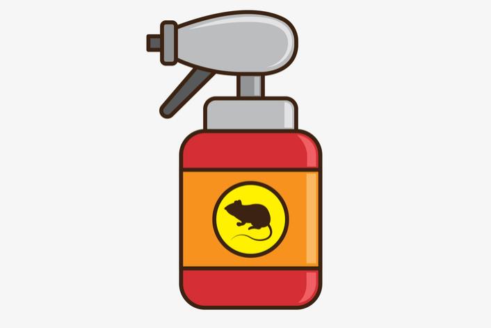 北京滅鼠公司教您如何避免屋里進老鼠？